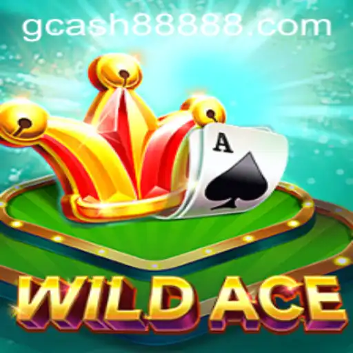 WildAce: An Exciting New Chapter in Online Gaming